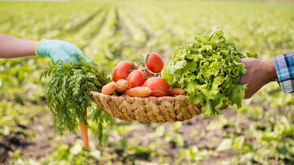 Connecting Farmers